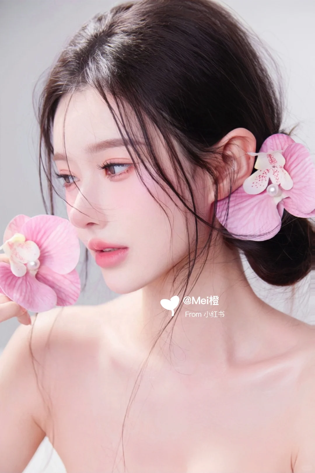 蝴蝶兰正片?