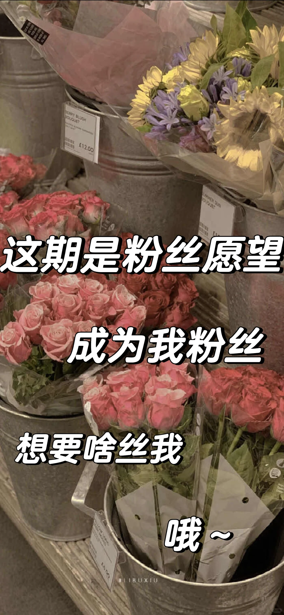 粉丝愿望