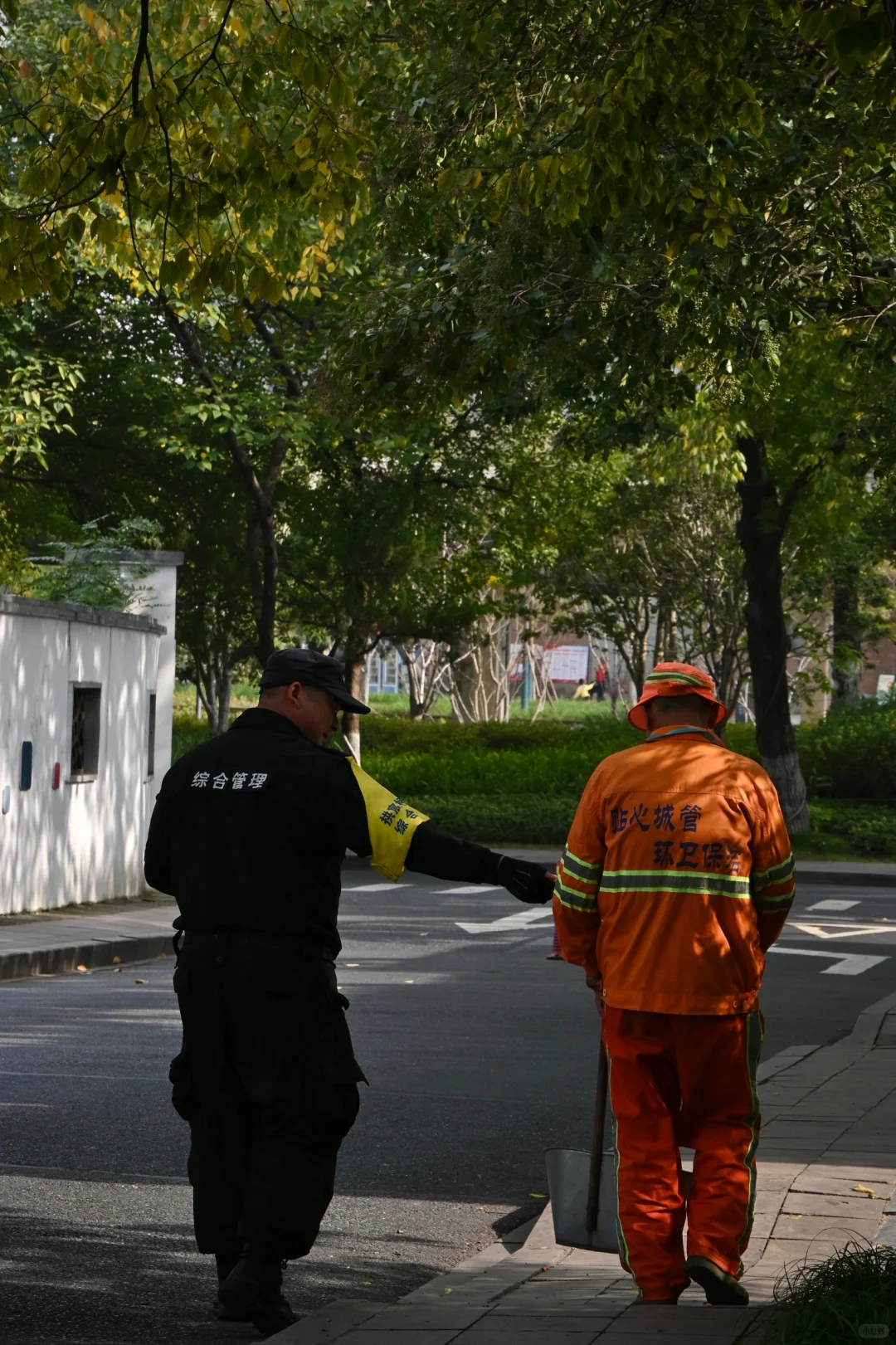 我镜头里的路人