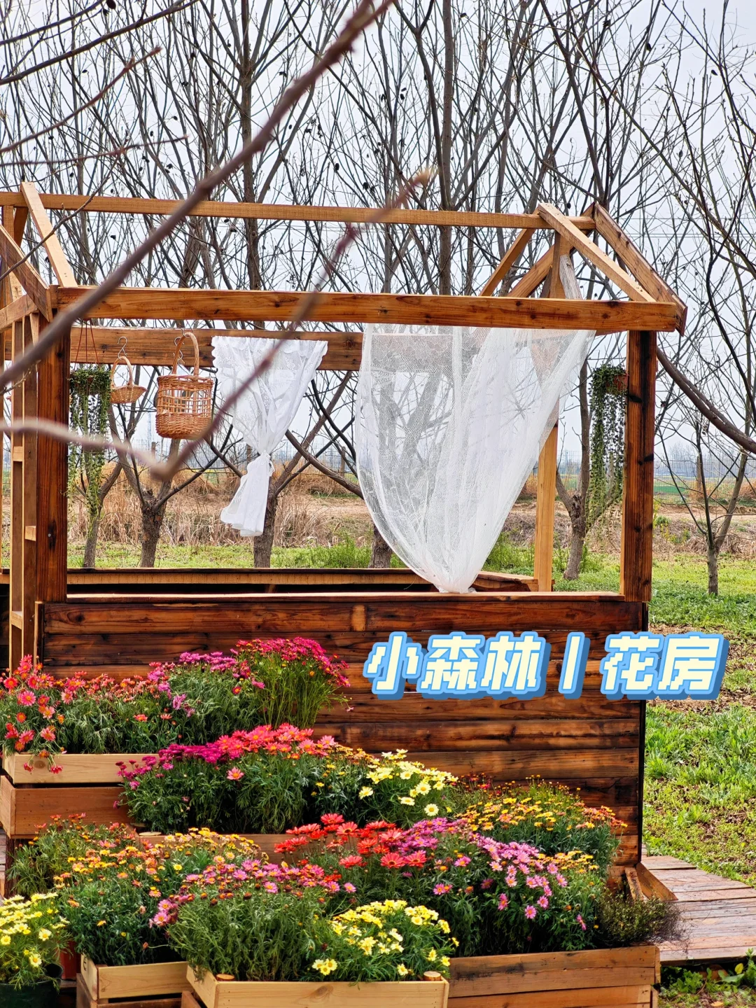 ?【田园治愈时刻，就在小森林农场】