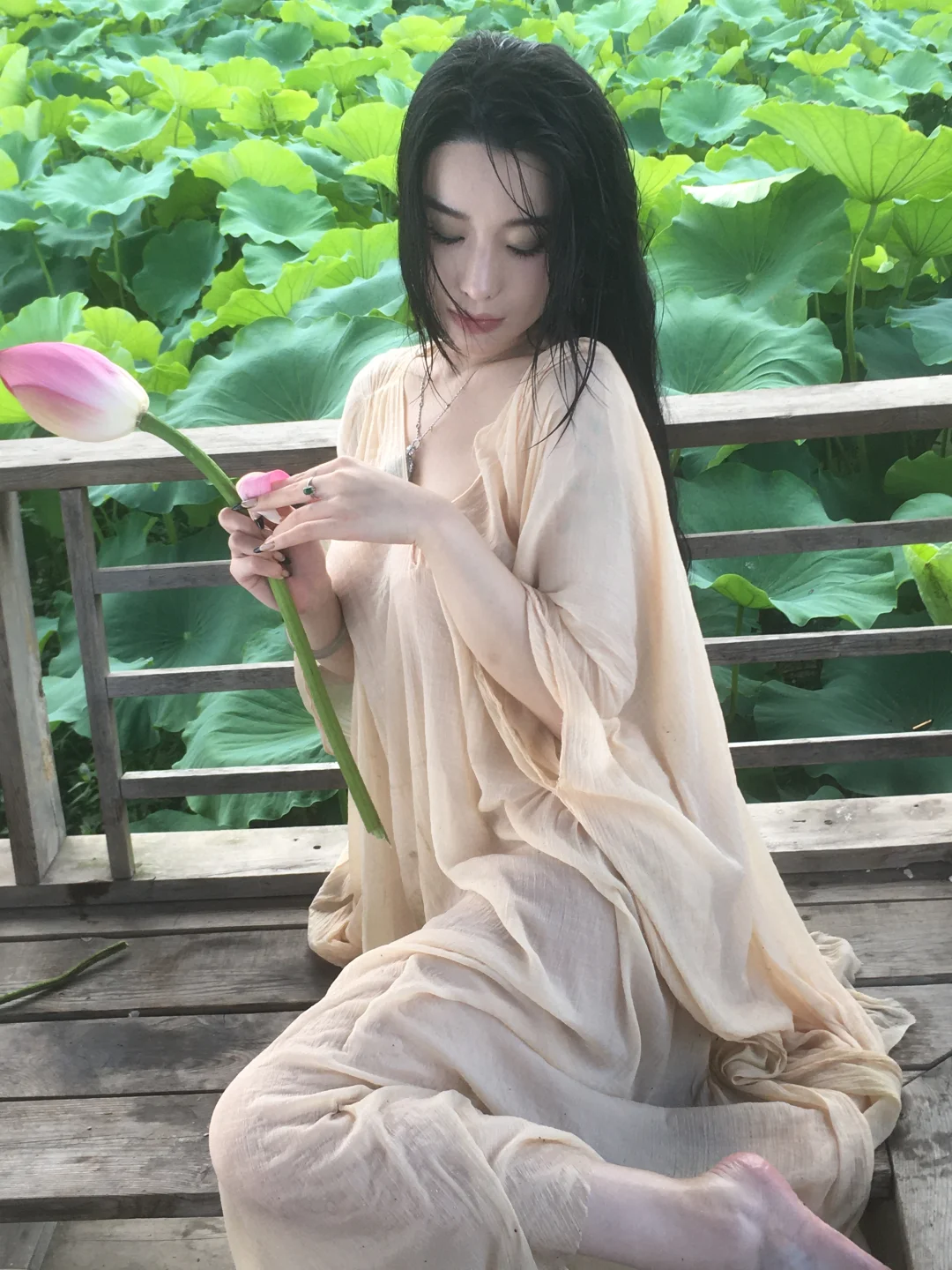 荷花池老子回来了
