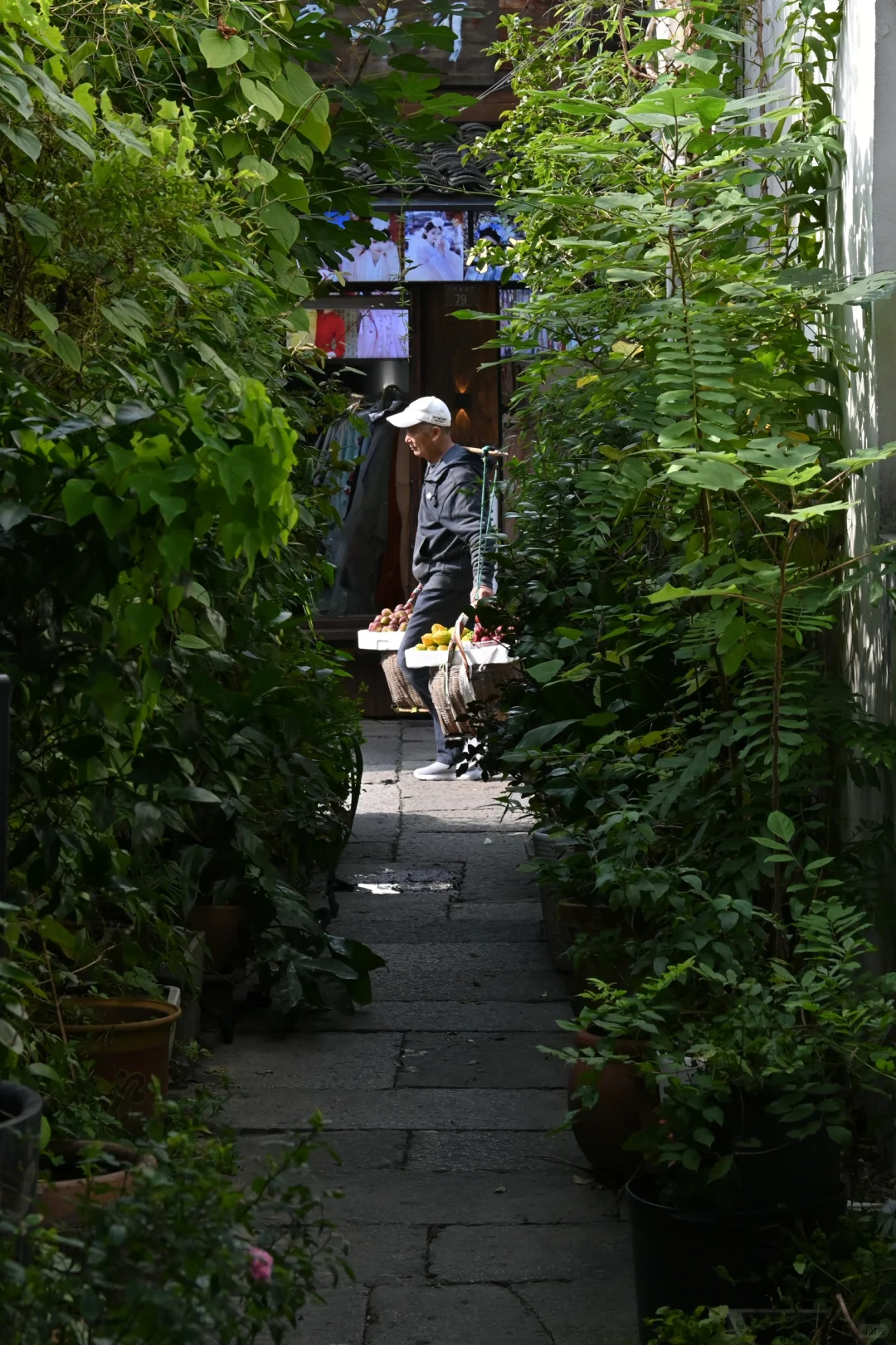 我镜头里的路人