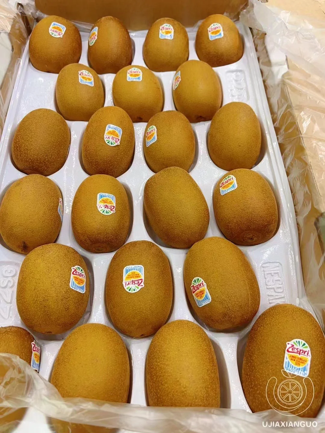 新西兰佳沛金果