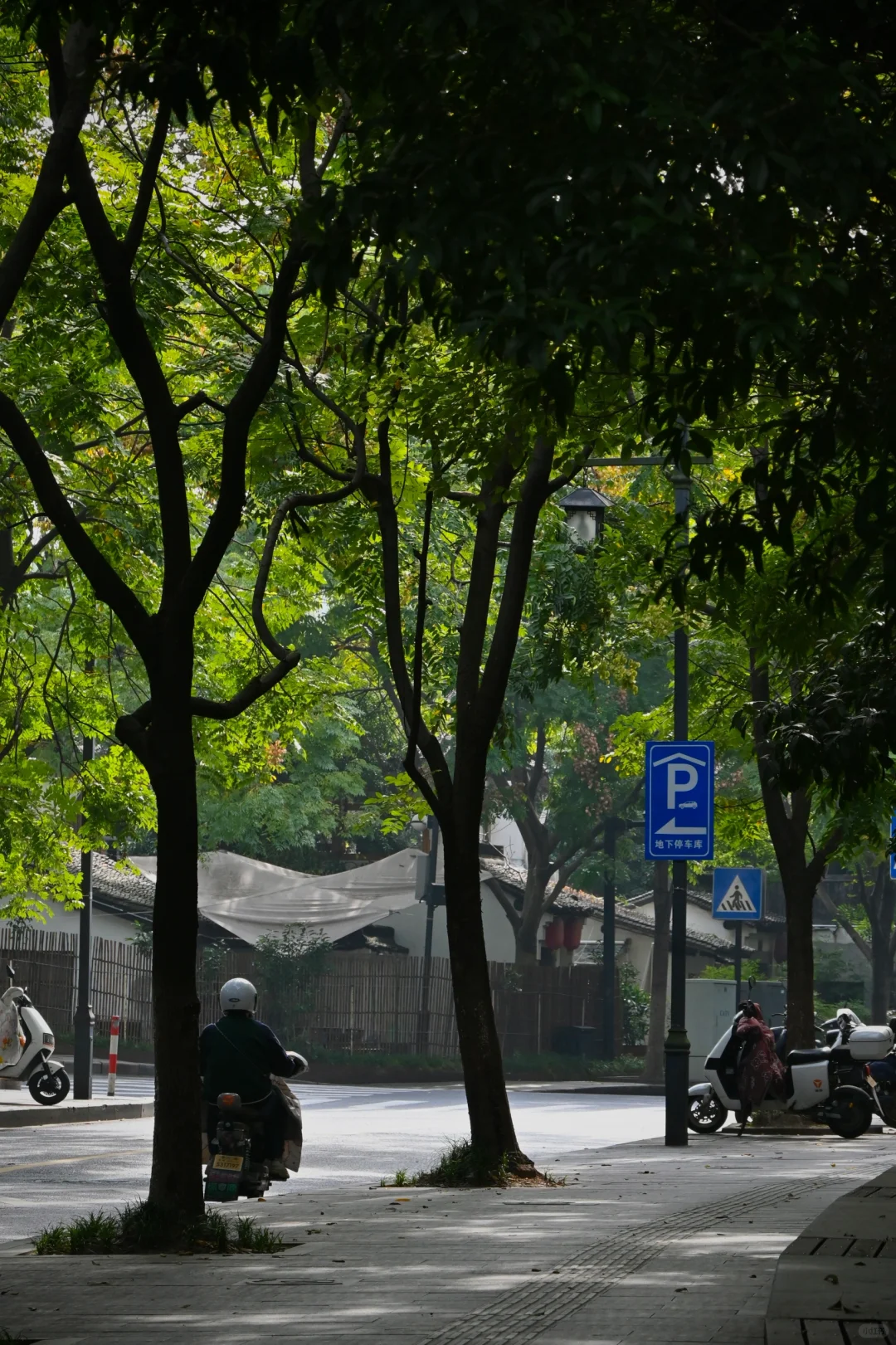 我镜头里的路人