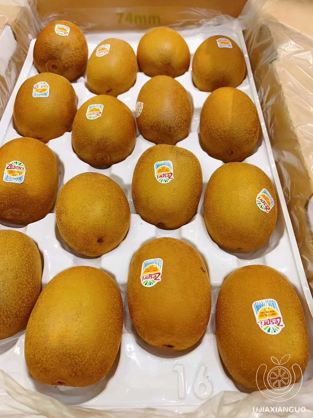 新西兰佳沛金果