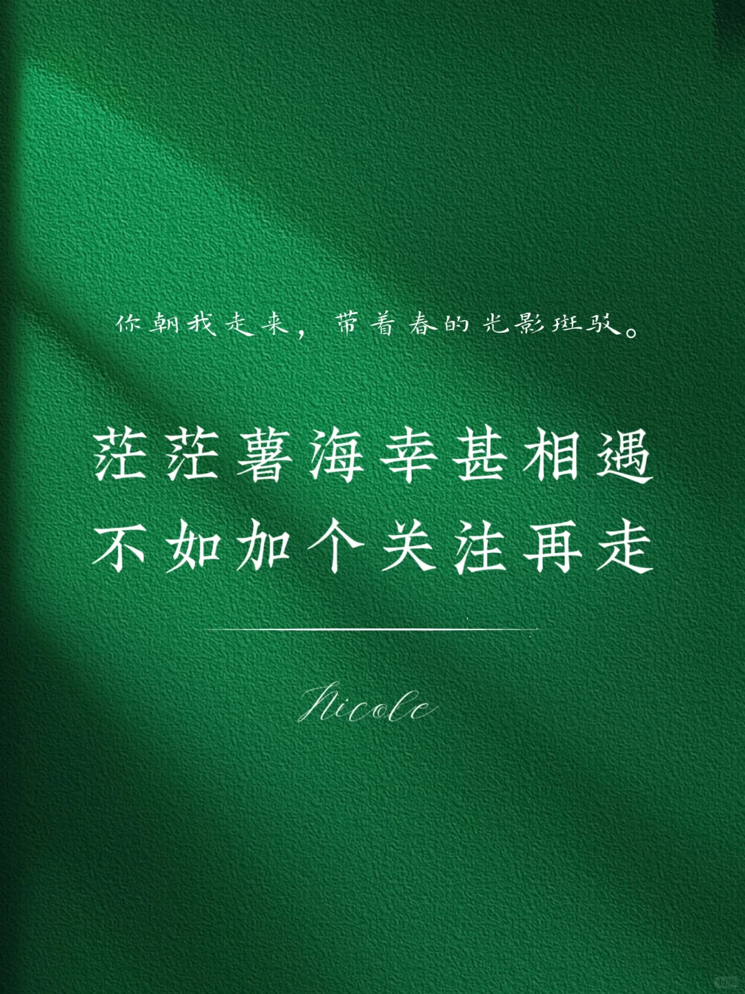 撩一撩你的crush吧，爱情超级调味剂