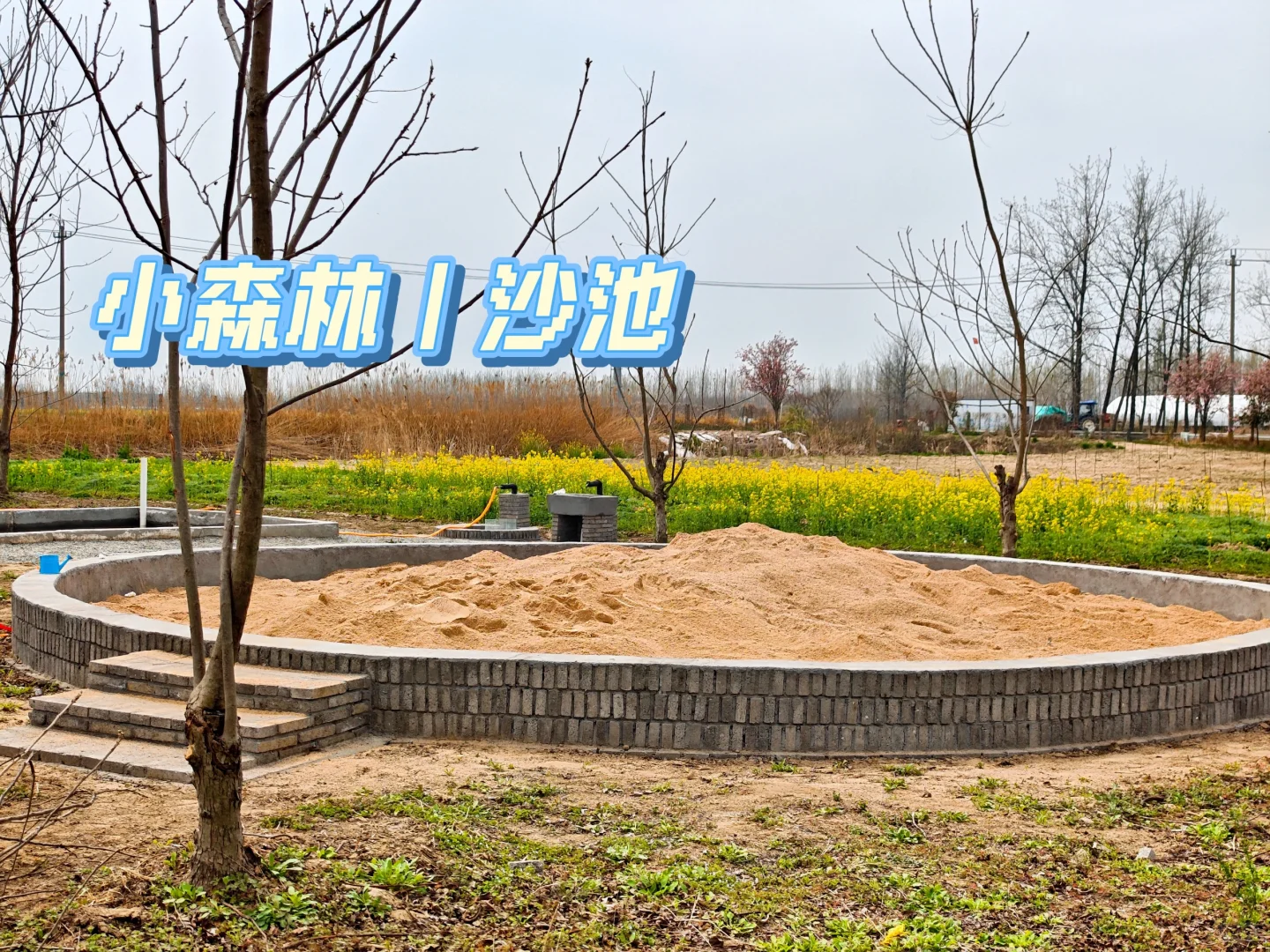 ?【田园治愈时刻，就在小森林农场】