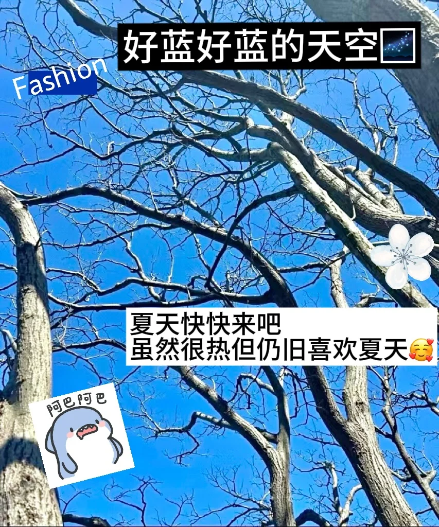 ?08 女高｜幸福的一周小记‼️?