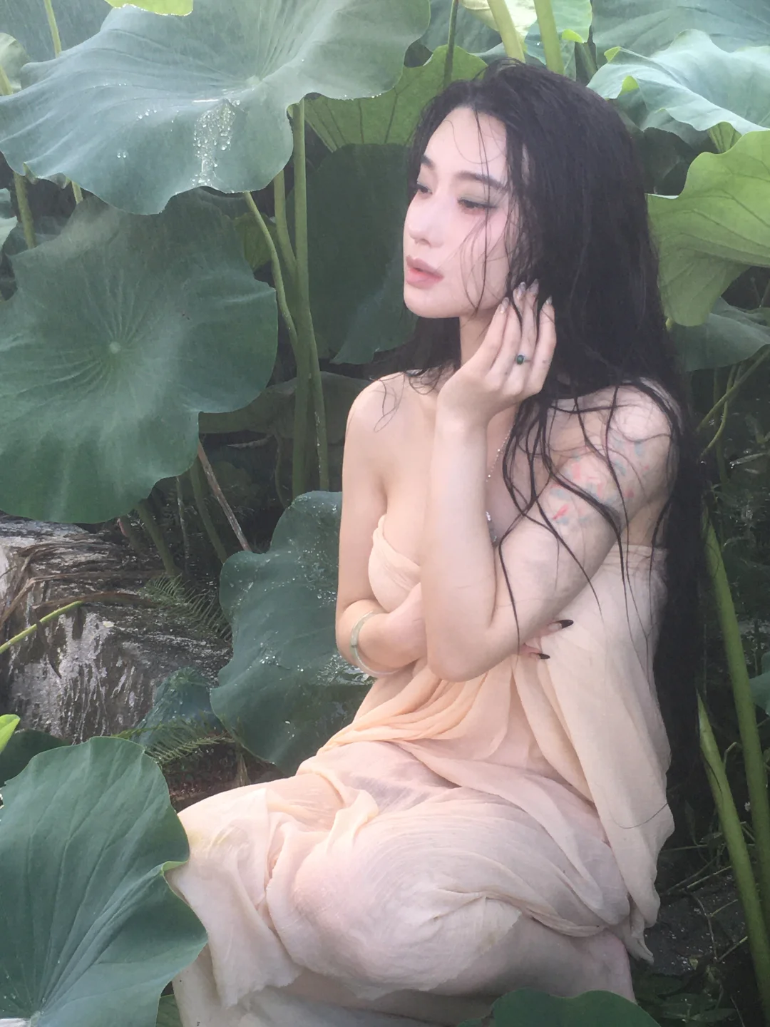 荷花池老子回来了