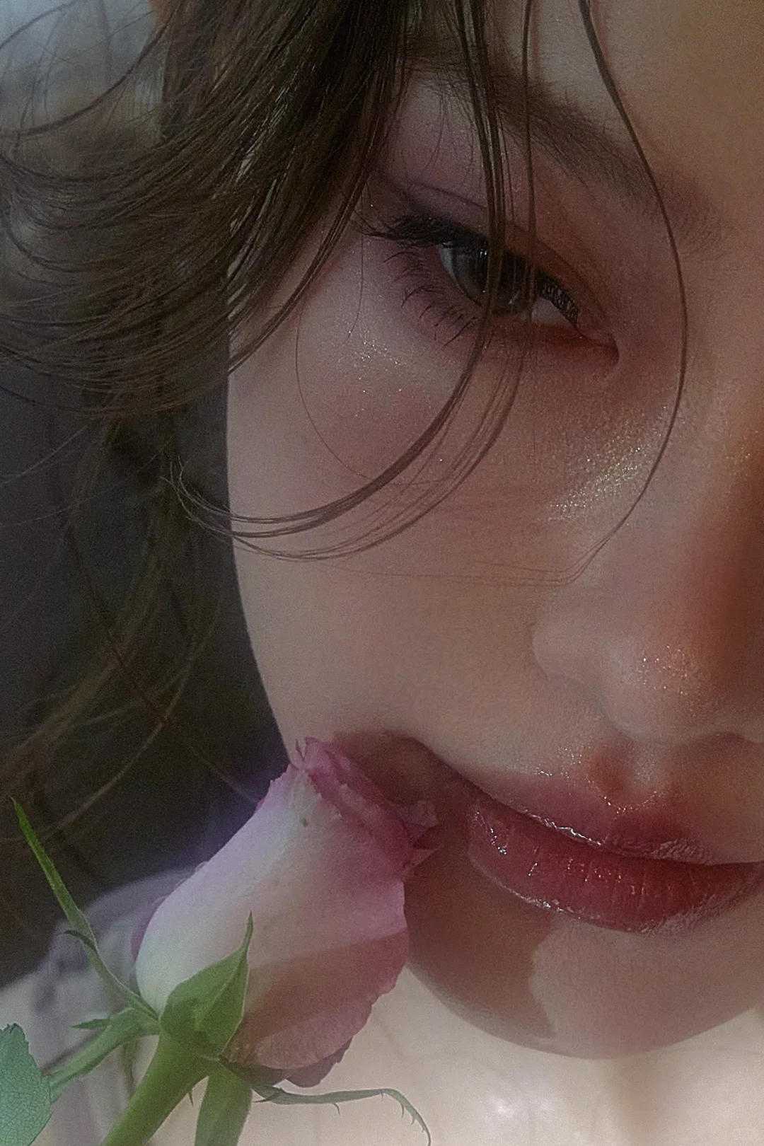 【20】 ‧₊˚落日弥漫的紫
