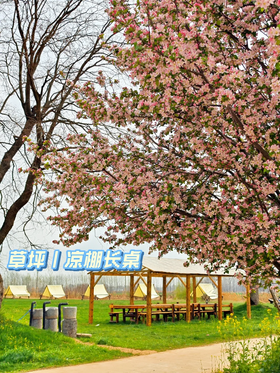?【田园治愈时刻，就在小森林农场】