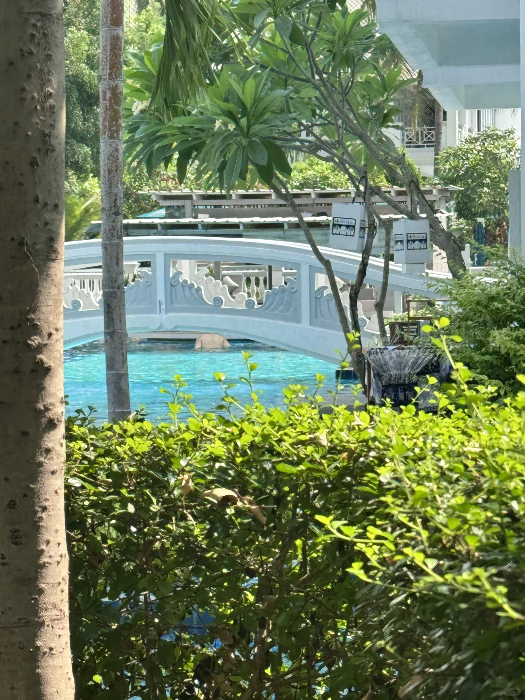 试试不加tag会推给谁