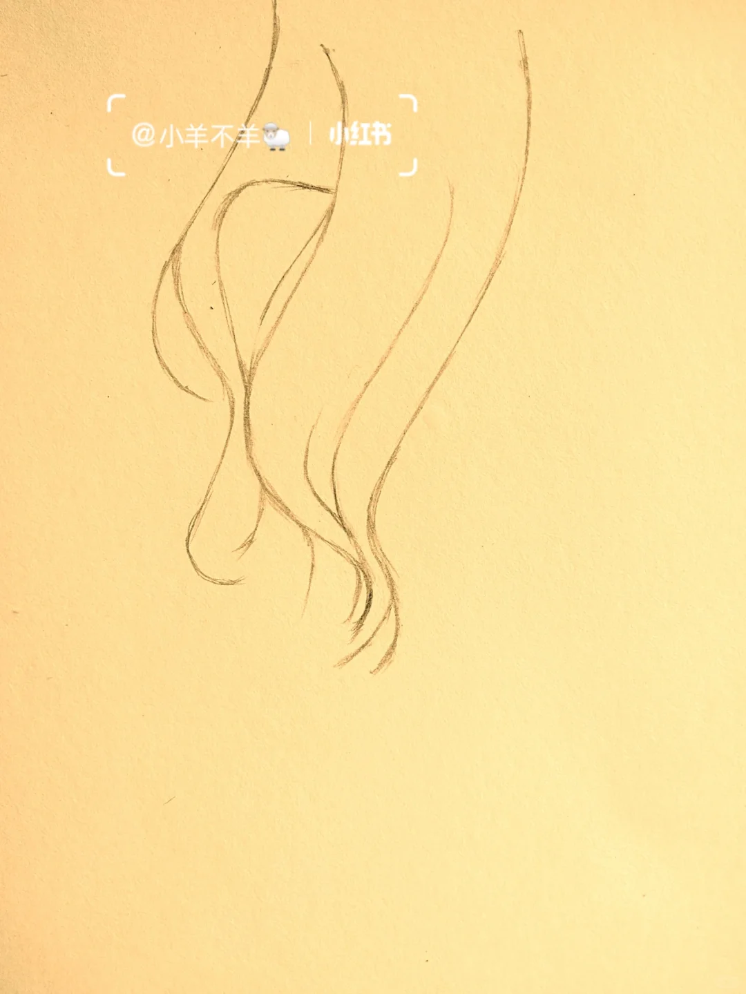 美女黑白简笔画＃绘画教程22（附过程）