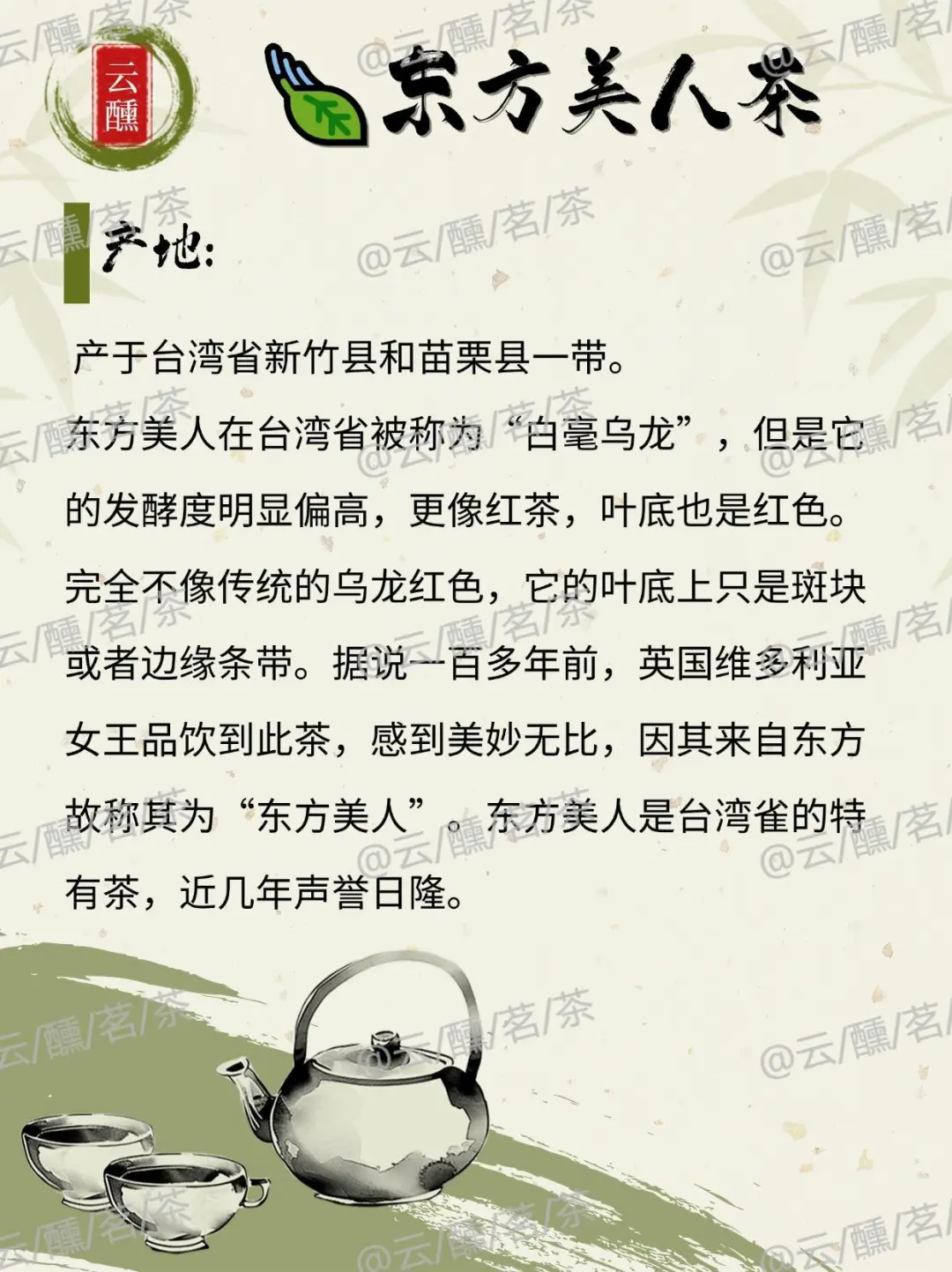 神秘的蜒香?台湾东方美人茶?小绿叶蝉