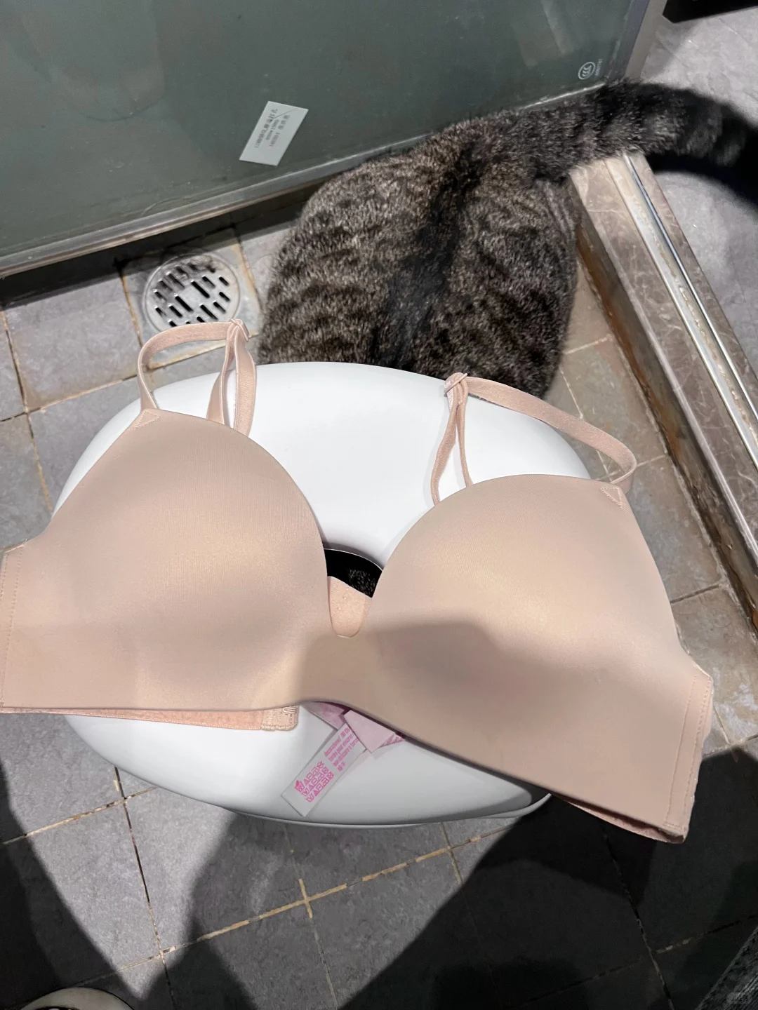 真不理解？我老婆胸小还很爱买bra.....
