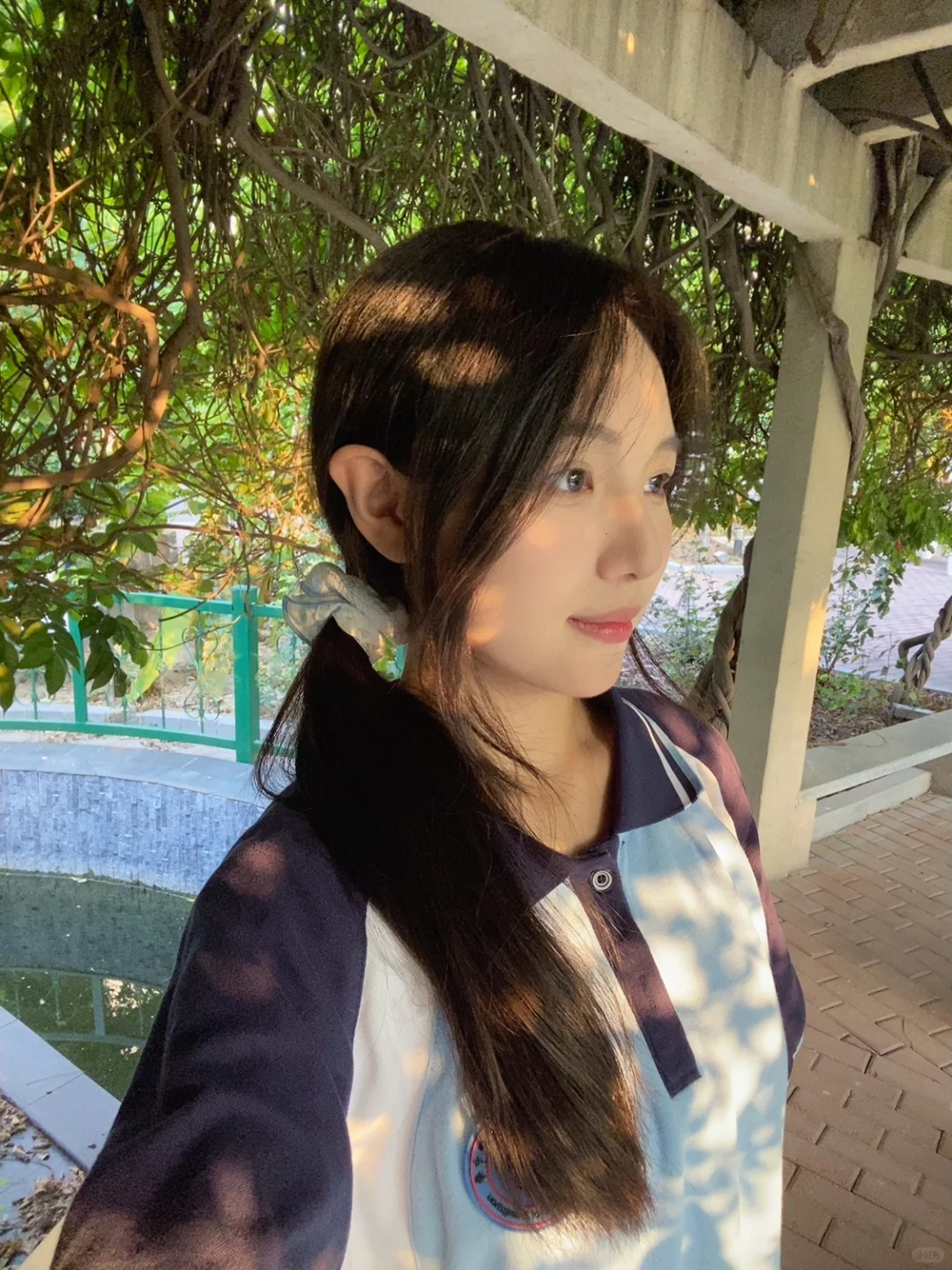 我替你明媚