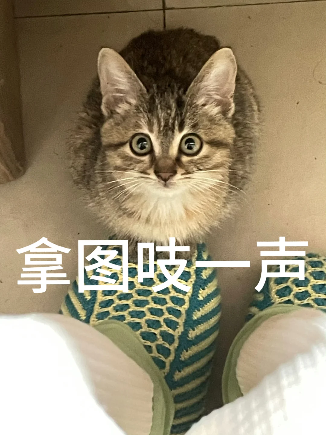 “自由”本就条条框框.