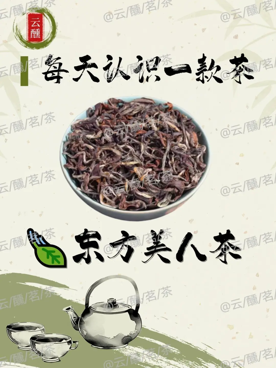 神秘的蜒香?台湾东方美人茶?小绿叶蝉