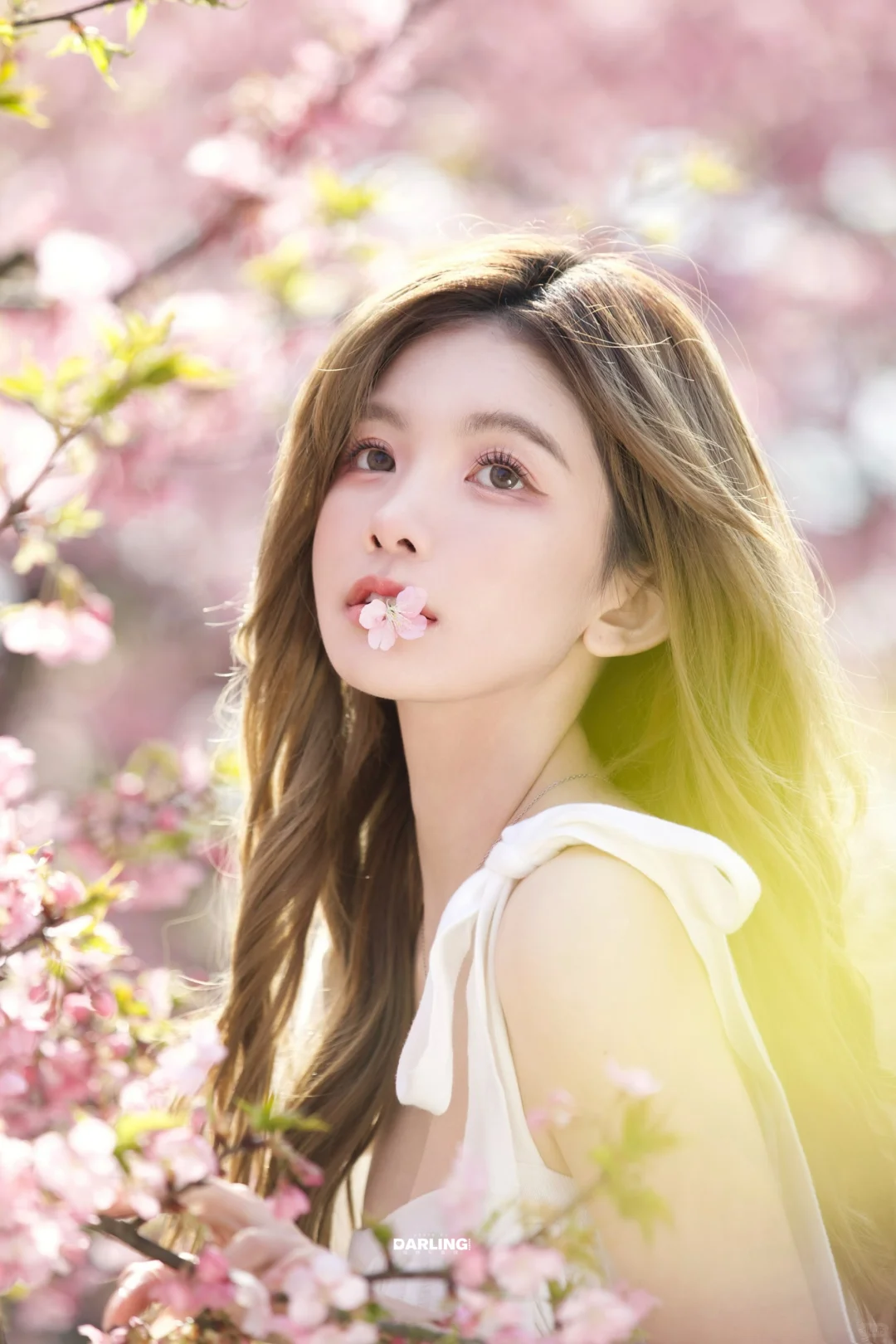 🌸樱花吻过少女裙摆的瞬间，美到窒息了‼️