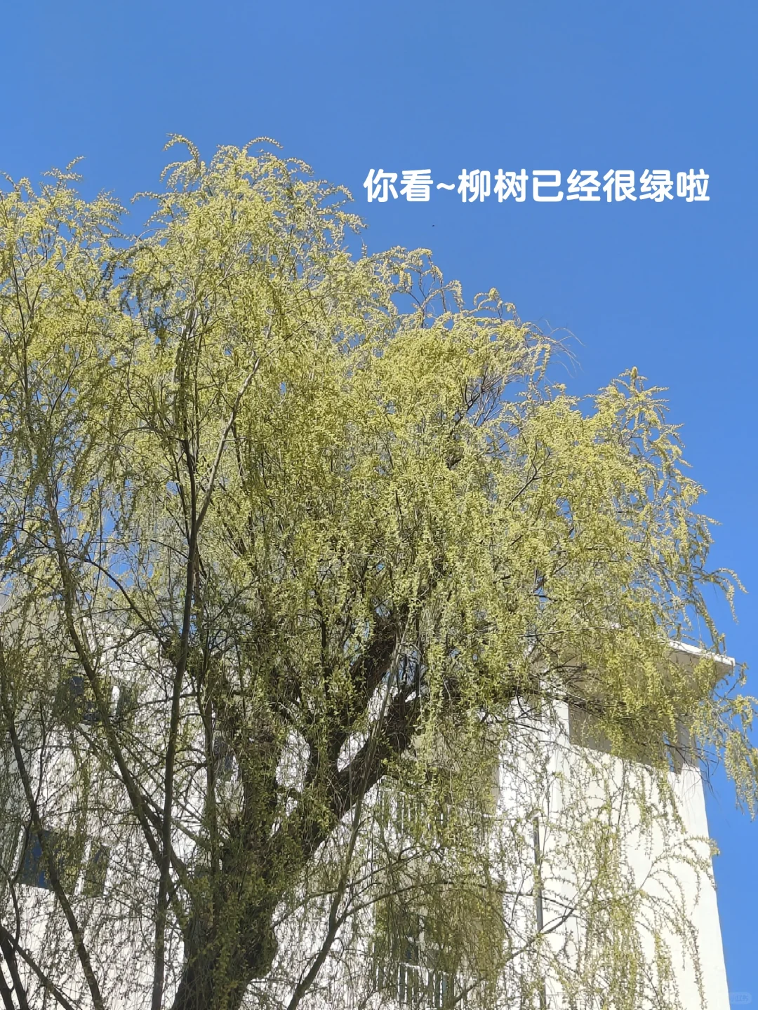 02研一|悄悄成为一个有修养和魅力的女生