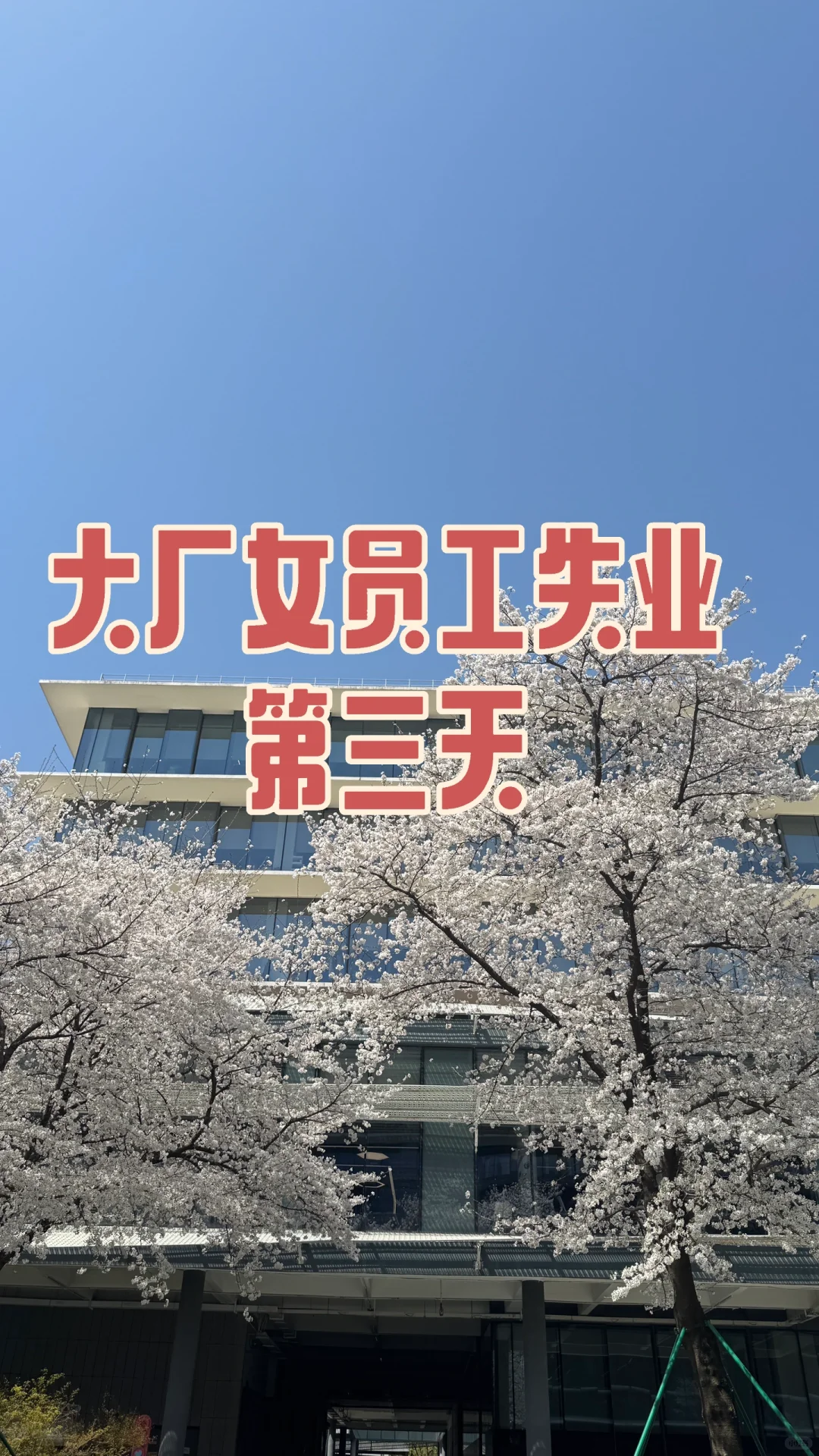 大厂三期女员工失业要不要2n