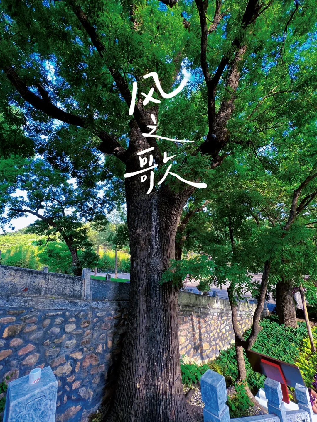 40岁虽没家没娃，但还可以有很多快乐