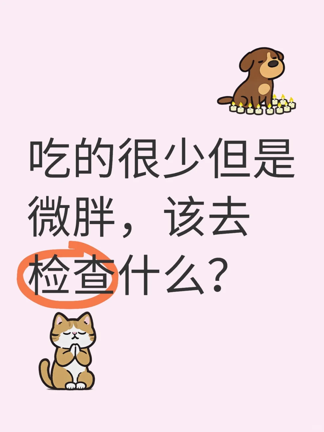 吃的很少但是有点胖，该去检查什么？