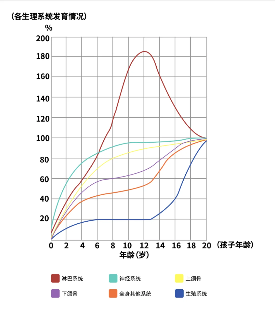 儿童各生理系统发育曲线图