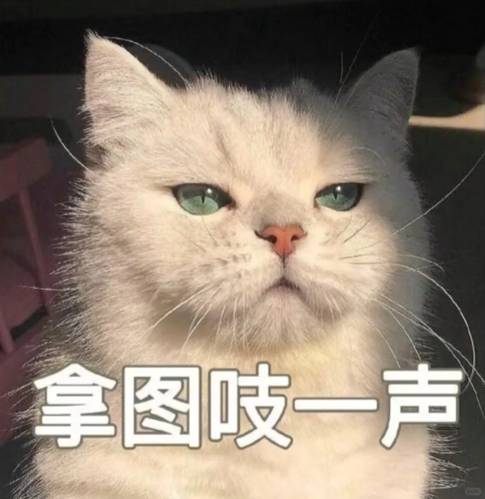 WeChat女头 | 每张都超好看!