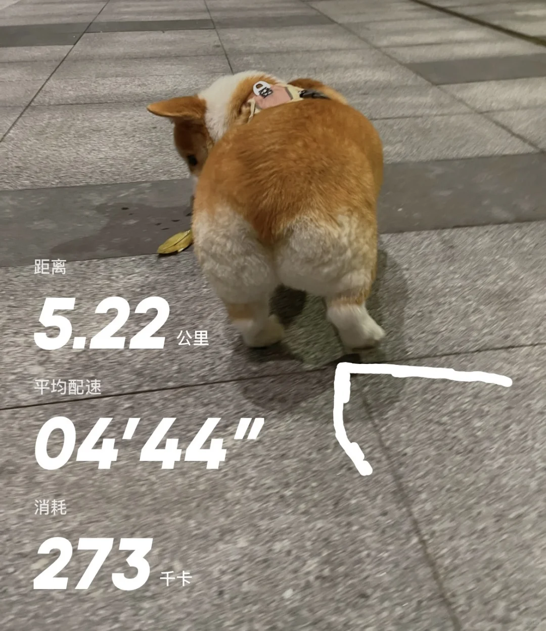 好好运动（太热了！！！）
