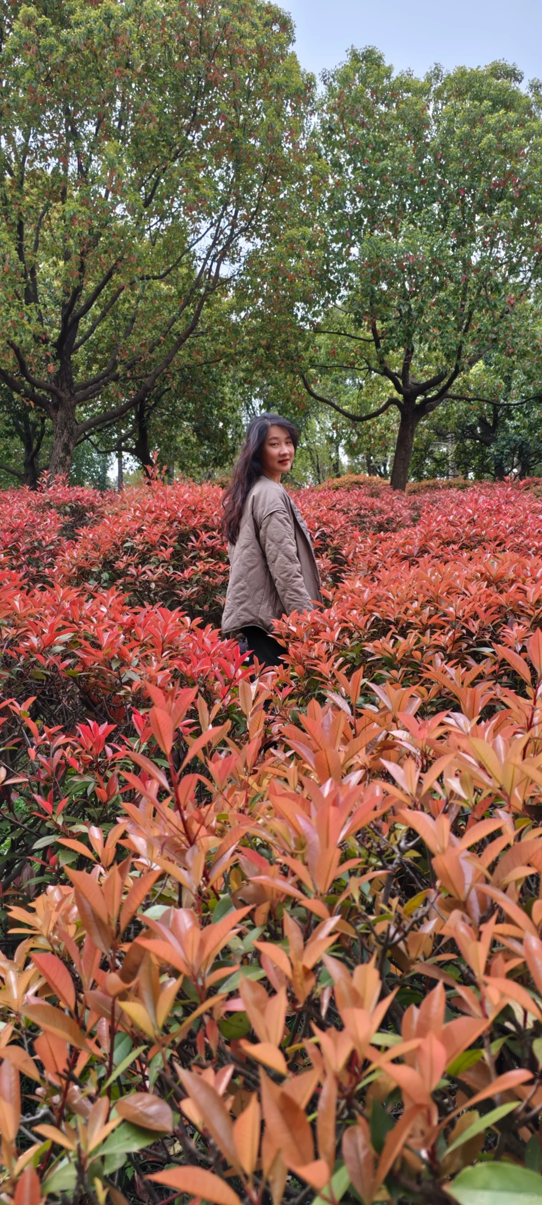 春明景和