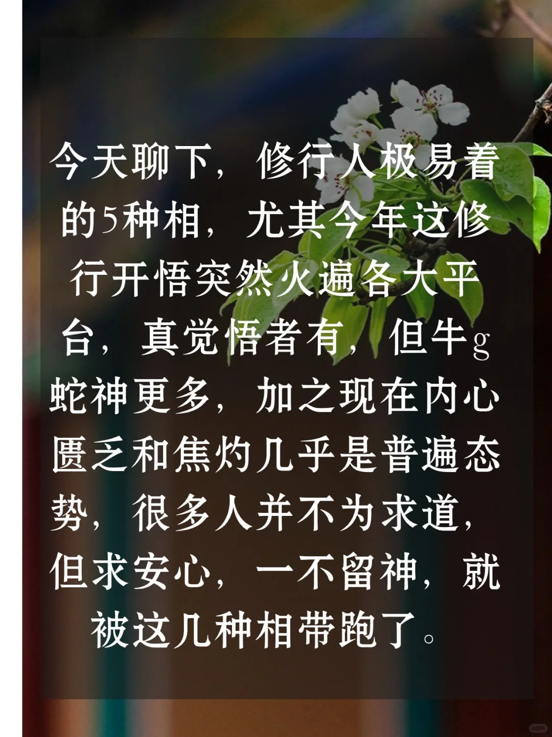 不要着他人的相，更不要着自己的相