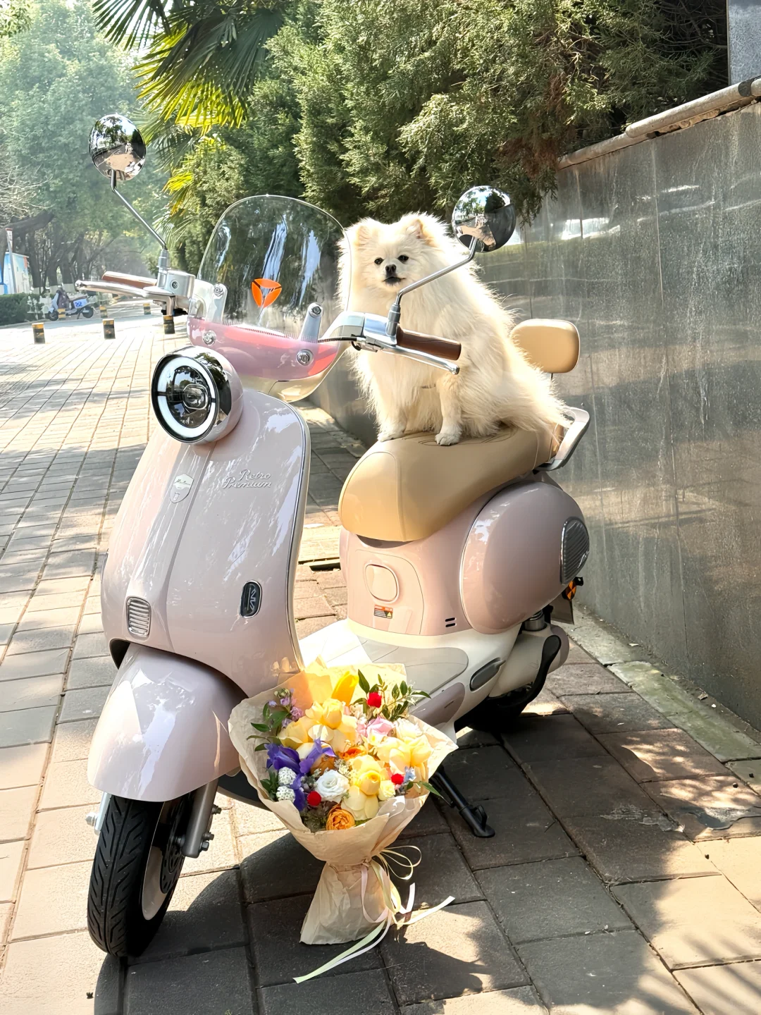 出门拍照📷雅迪带我citywalk