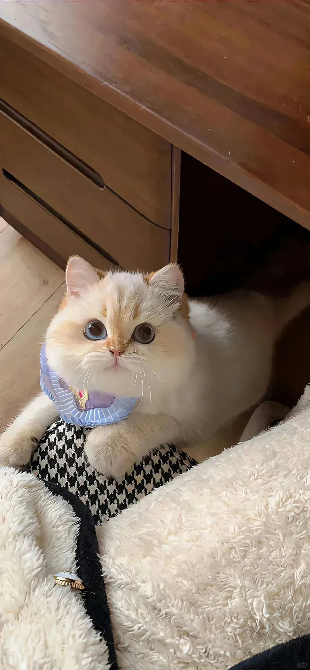 这也太好看！壁纸合集！😍