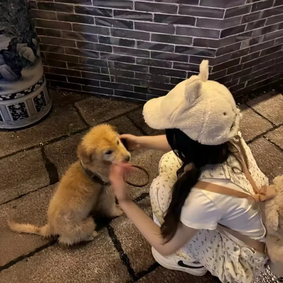 𝑾𝒆𝑪𝒉𝒂𝒕 | 女生头像