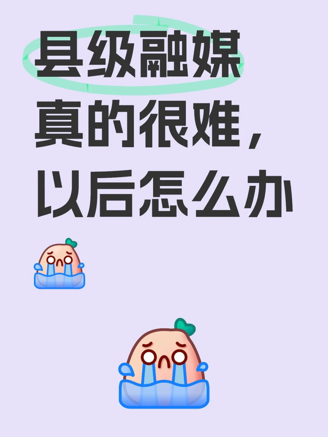 我所在的县级融媒，200号人，有财编的30+，自收自支50，其余的台聘，公司聘，