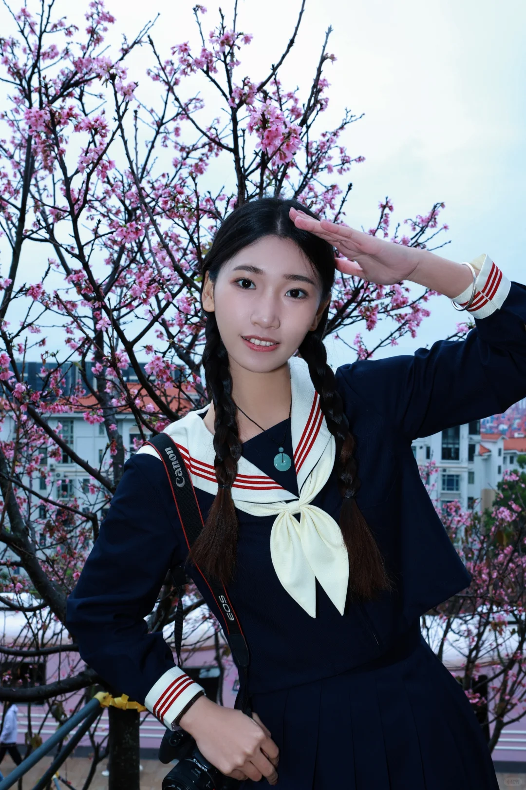 樱花列车怎么拍