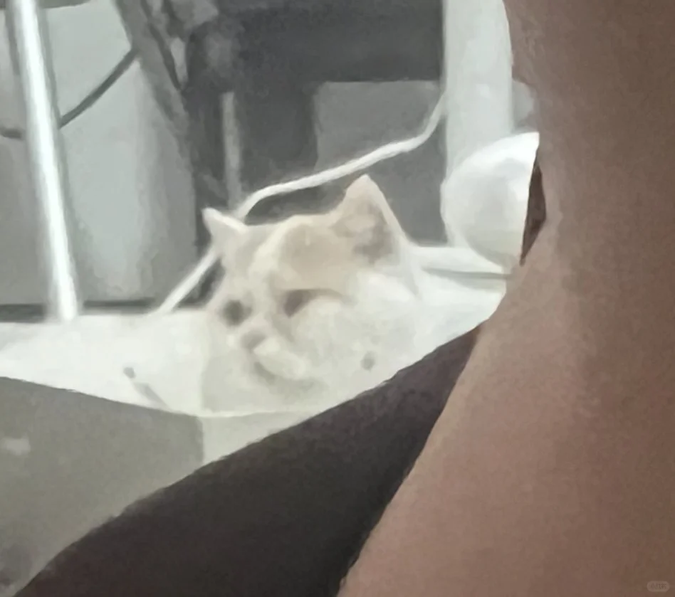 长靴推荐