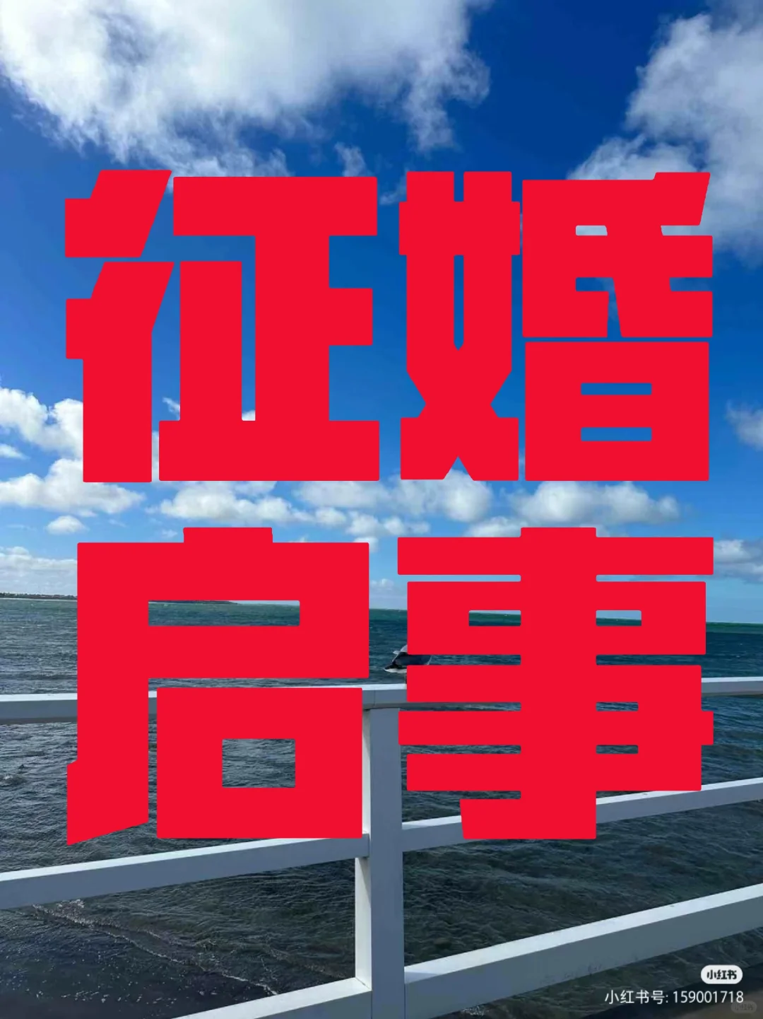 全球征婚启事: