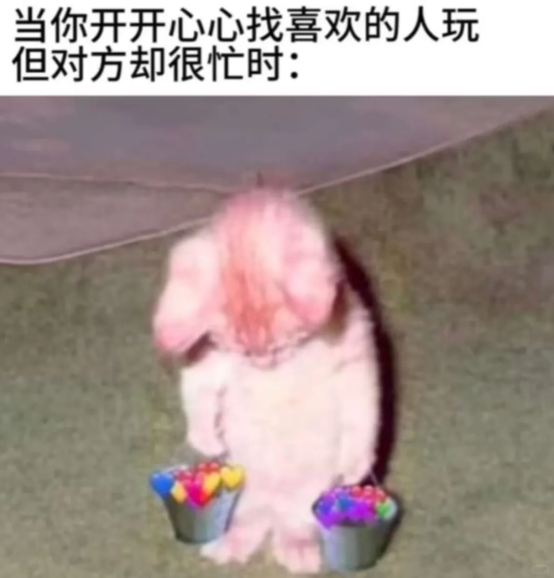 cpdd，想找个善良的女孩子