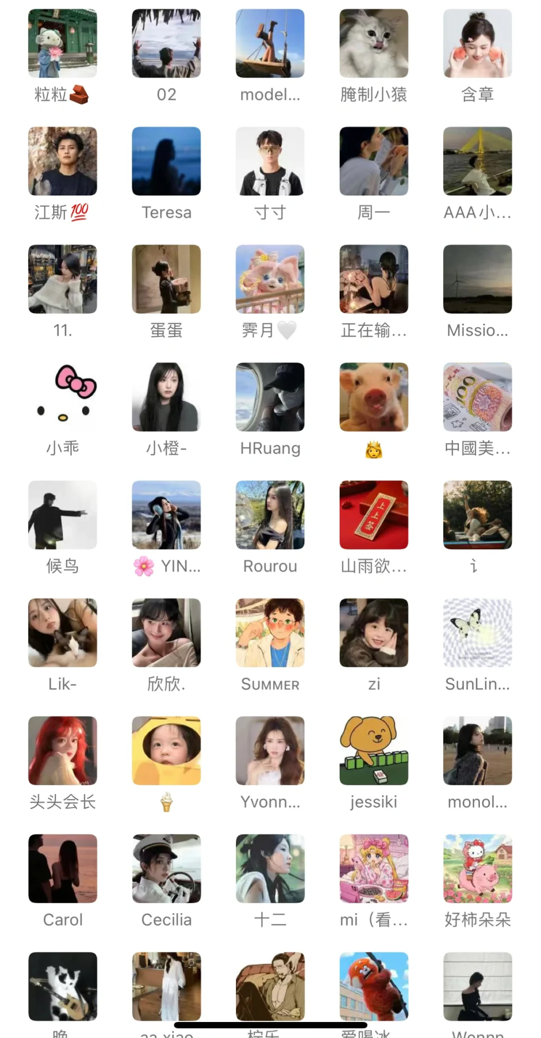 全国各地高质量模特群🦋需要了解的si✨