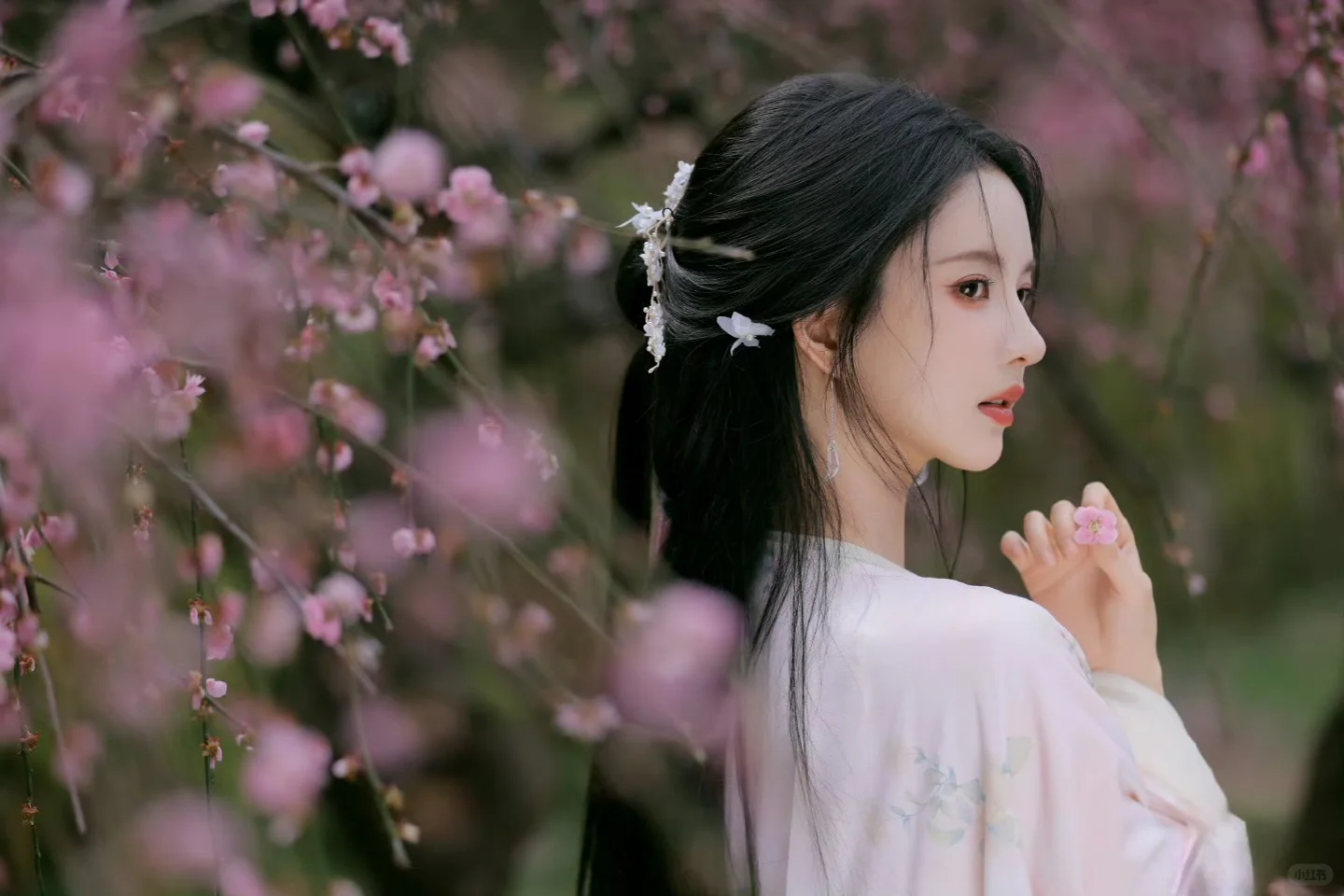 樱花如约而至，如你一般珍贵🌸