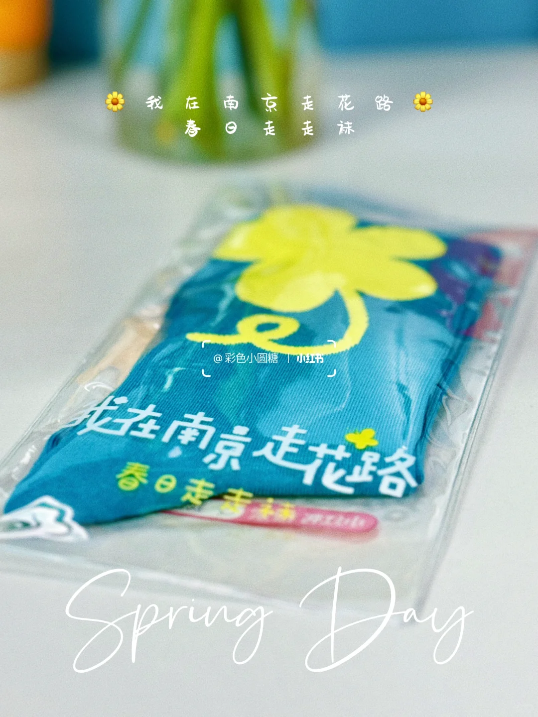我在南京走花路｜春日走走袜