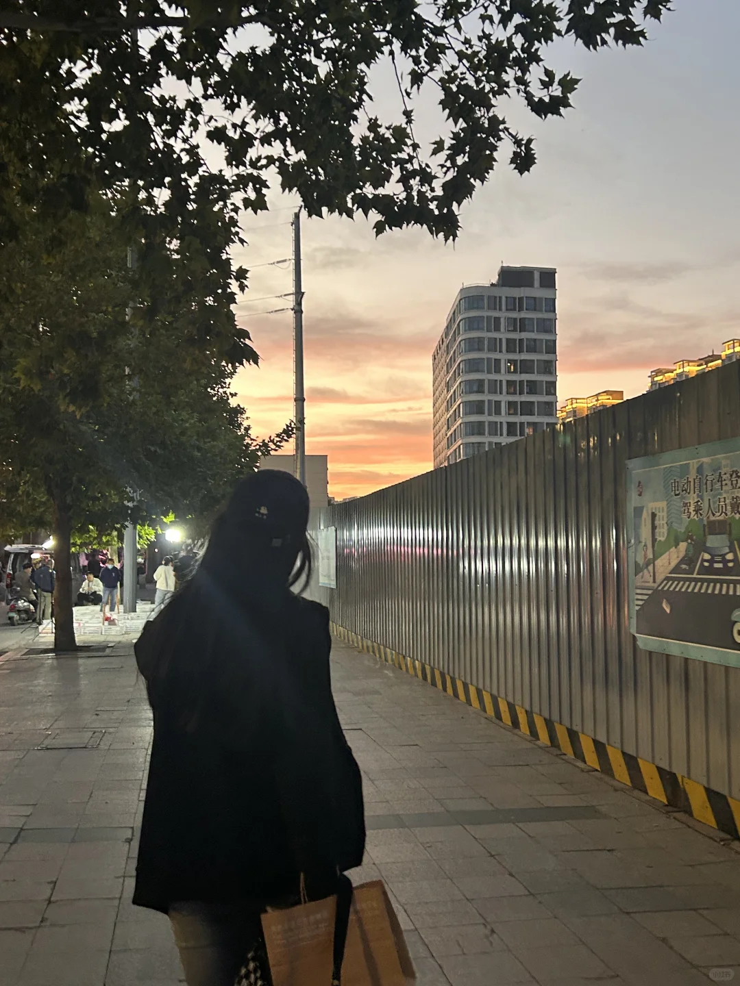 永存的太阳与我