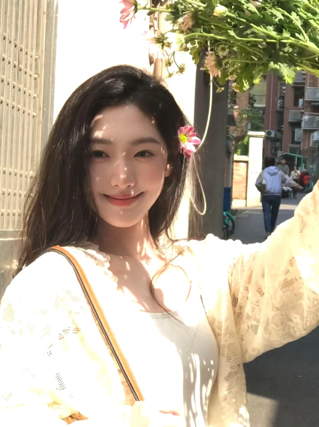 早春Live图