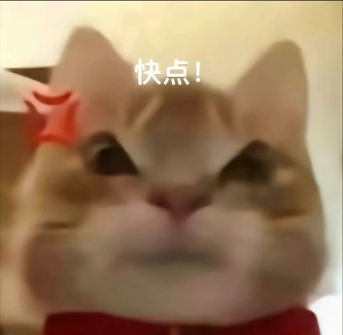 公主大人们 请给我看看腿