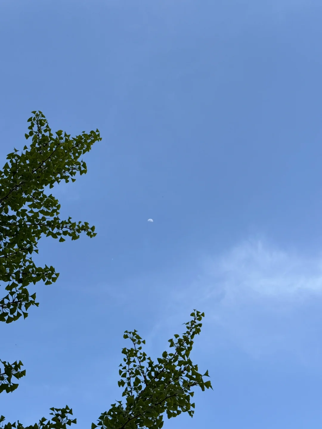 交换春日美照｜共赴浪漫之约