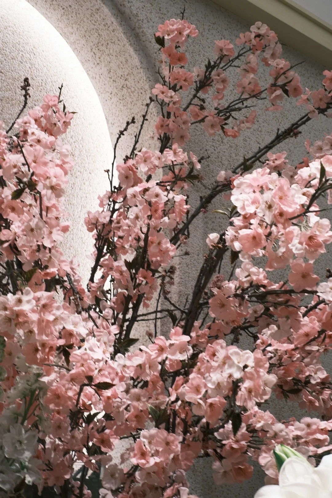 粉色娇嫩🌸你如今几岁了？