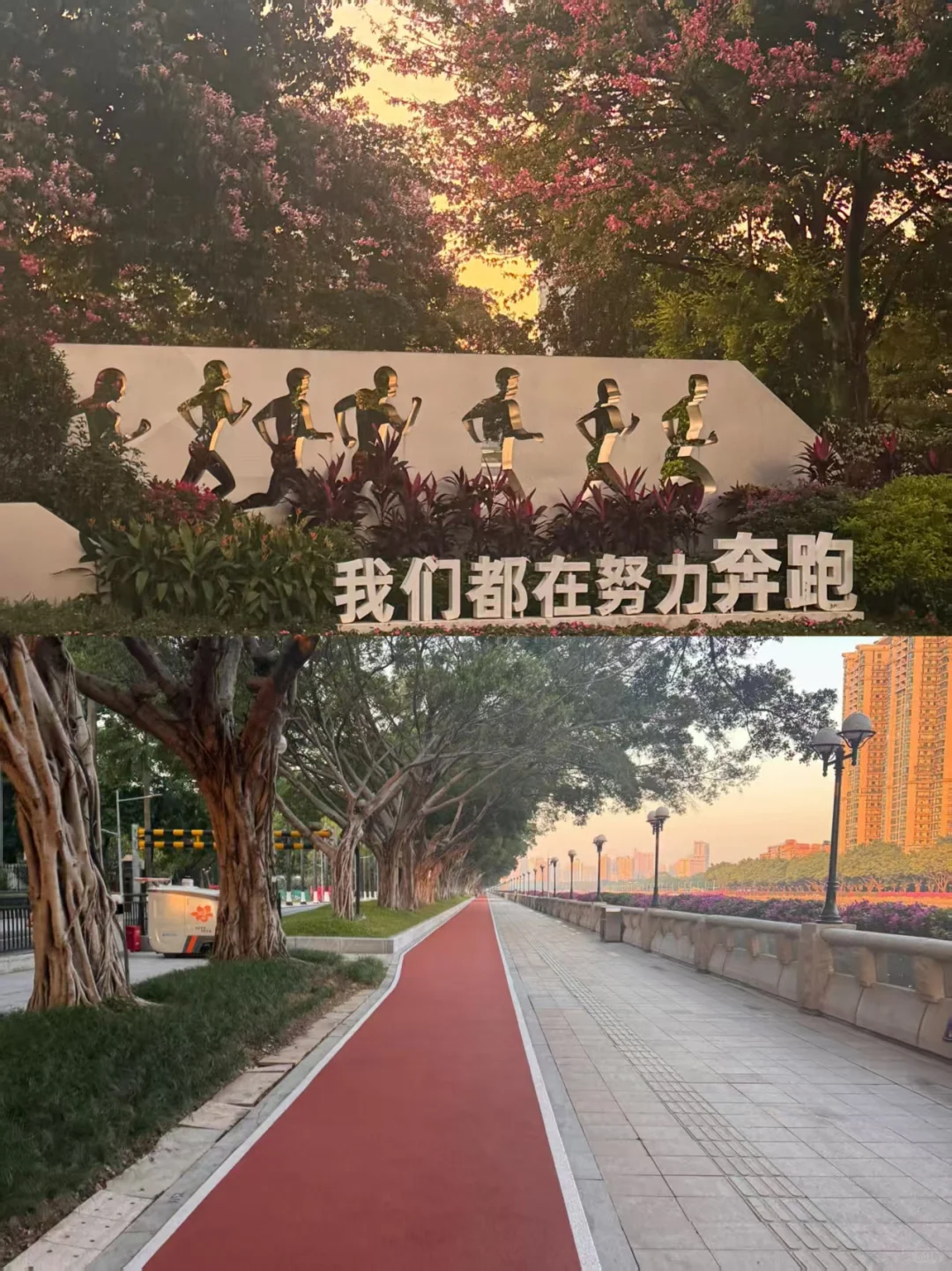 🌅女大学生的活力日常 | 浪漫与自律并存