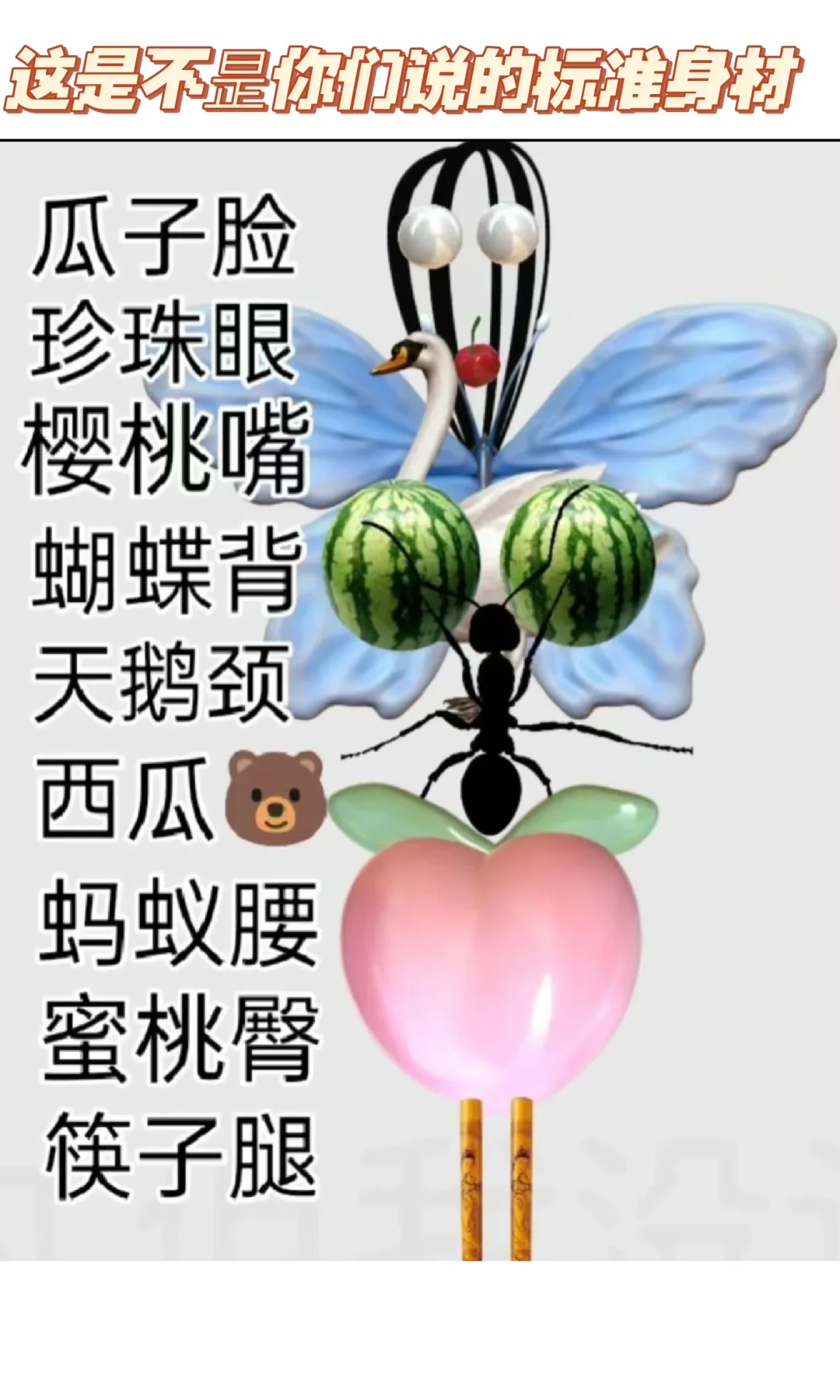 标准身材